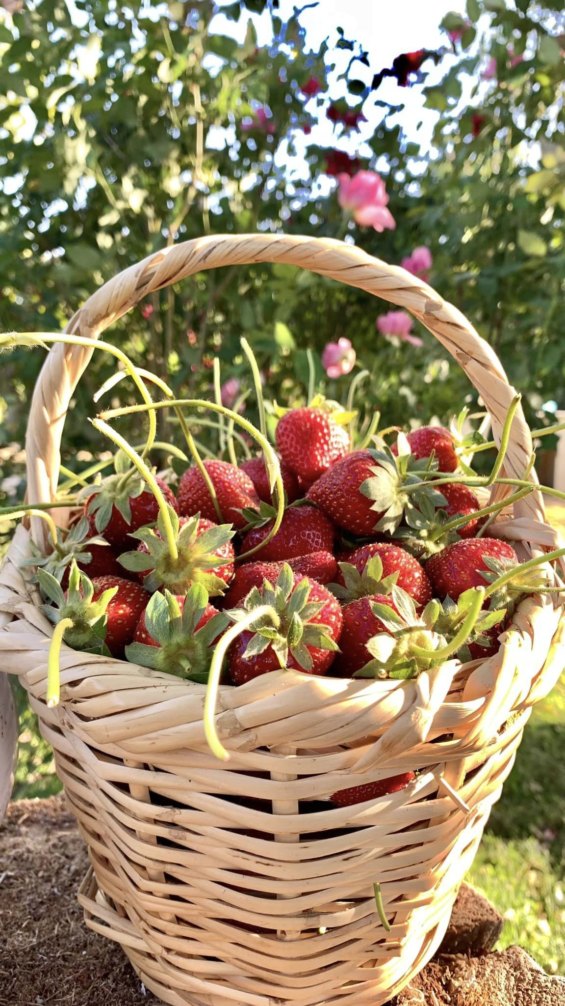 tour-listing-details-slide