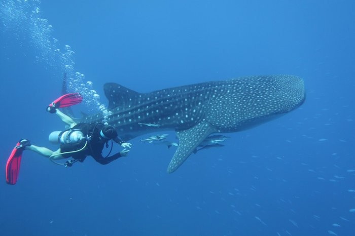 tour-listing-details-slide