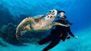 tour-listing-details-slide